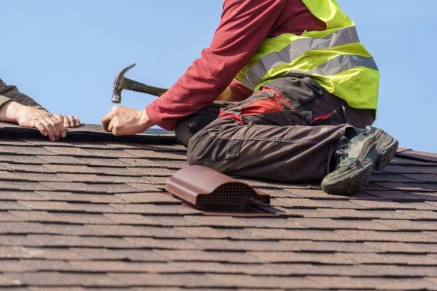 Best Roof Repair Services  in Cypress Quarters, FL